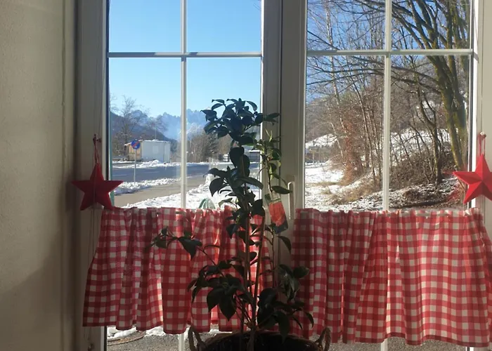 El Toro أرنولدشتاين